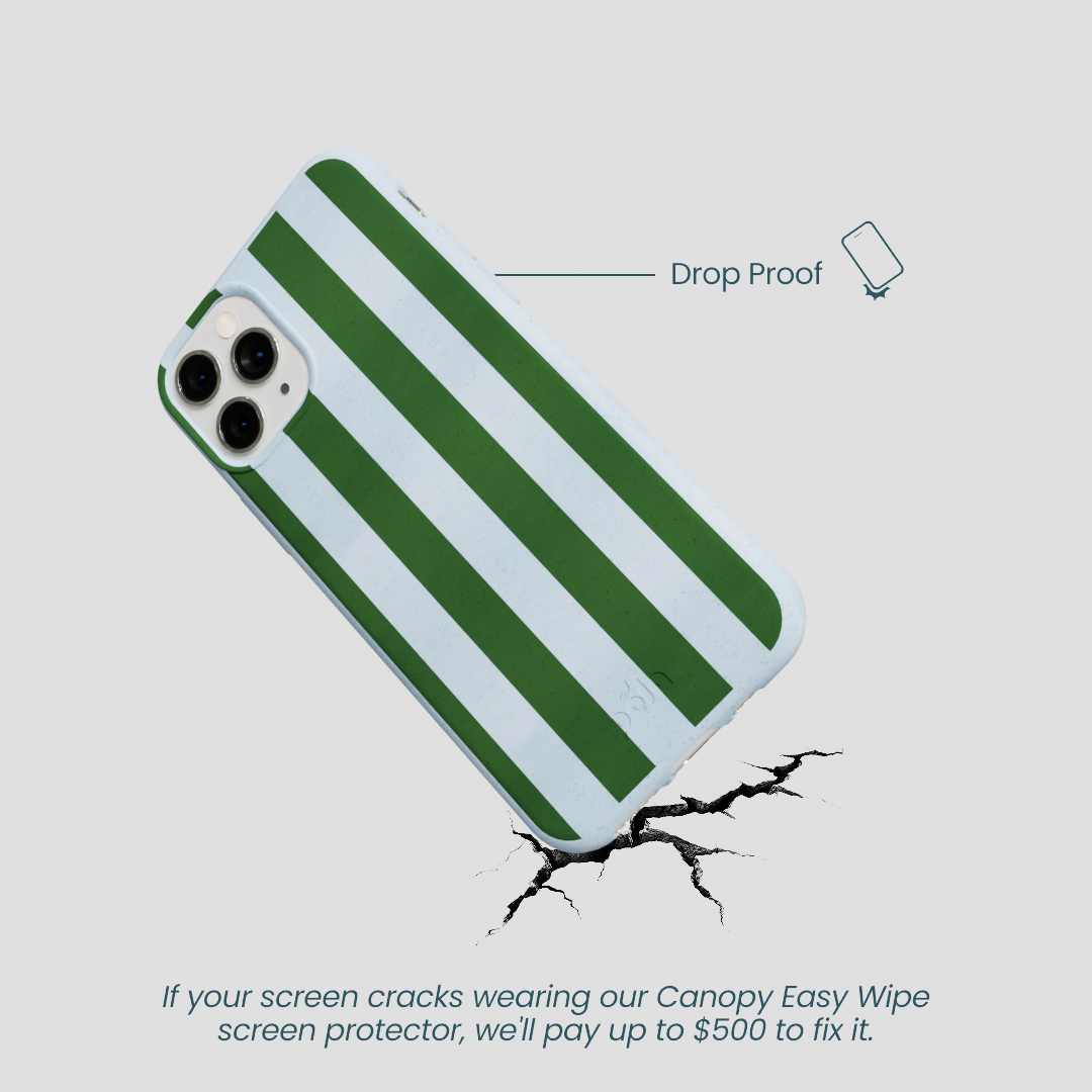 Powder Blue Big Evergreen Stripes iPhone 11 Pro Case