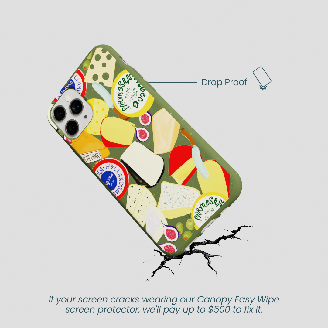 Forest Floor Cheese Spread iPhone 11 Pro Case