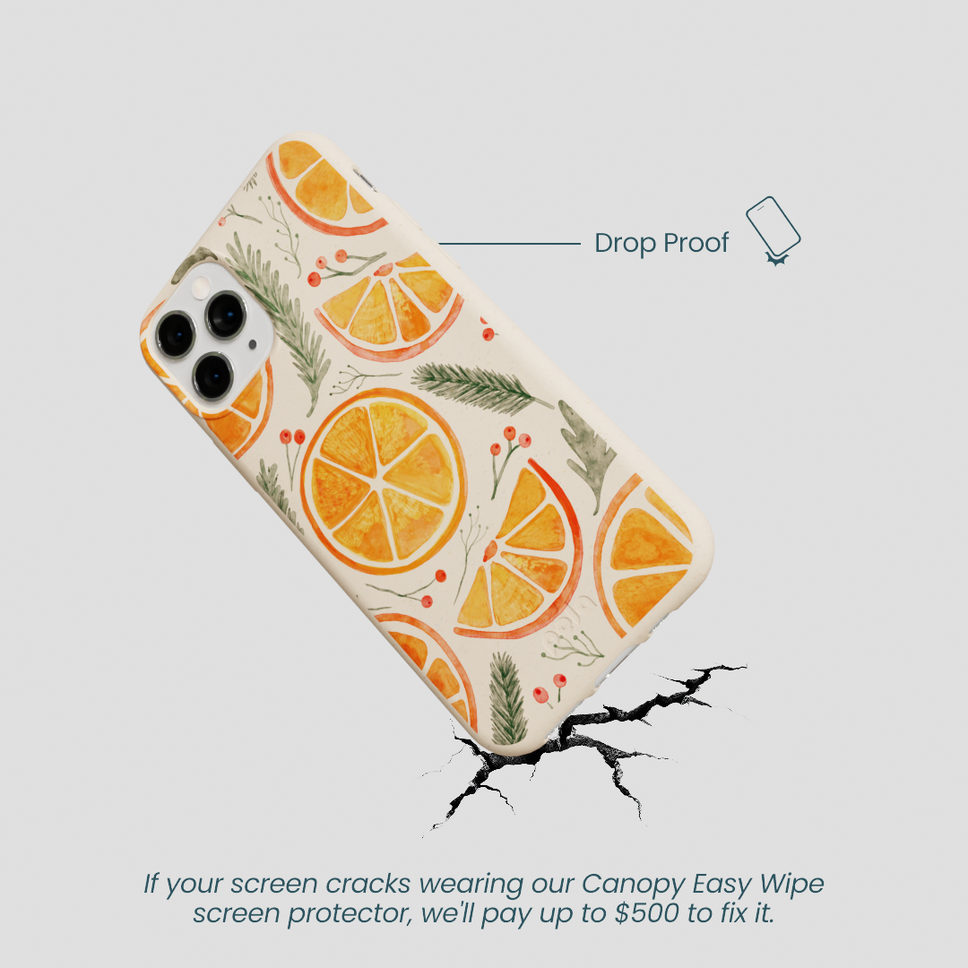 Seashell Citrus Cheer iPhone 11 Pro Case