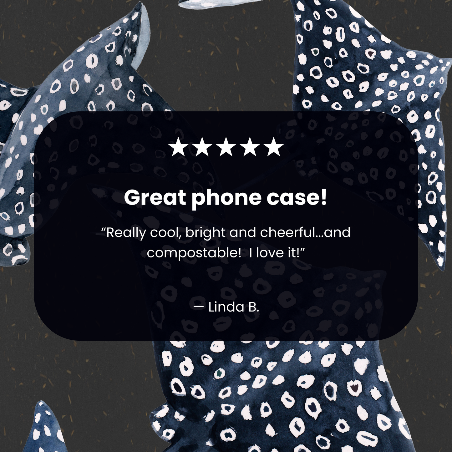 Black Midnight Rays iPhone 11 Pro Case
