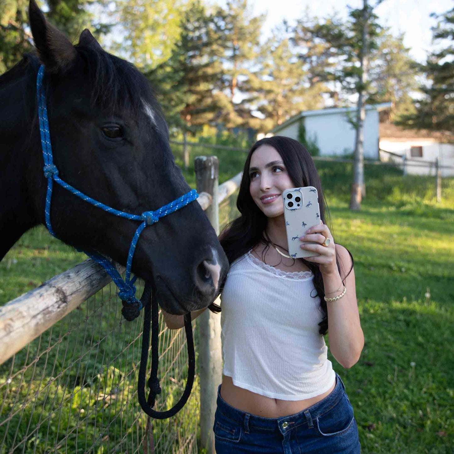 London Fog Mini Horses iPhone 11 Pro Case