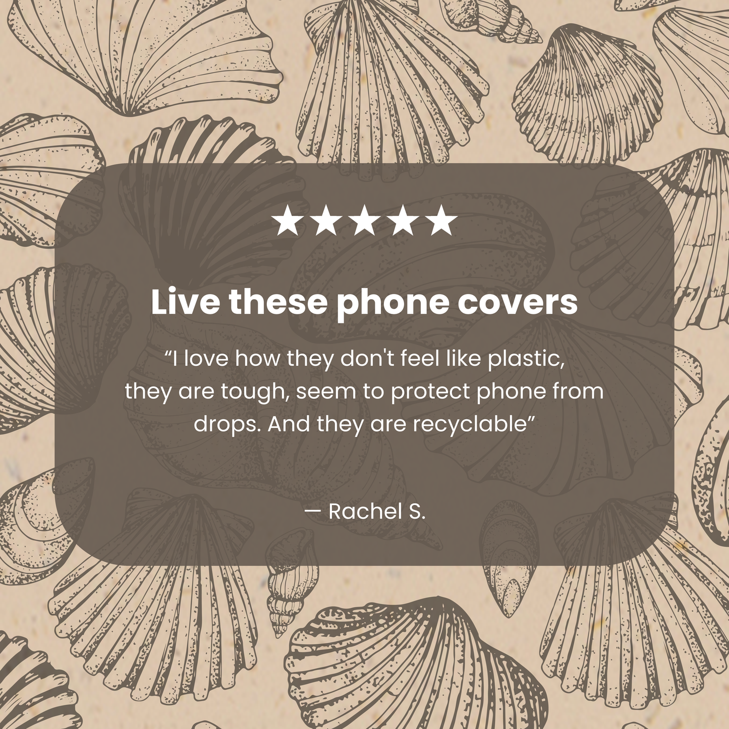 Seashell Seashore iPhone 11 Pro Case