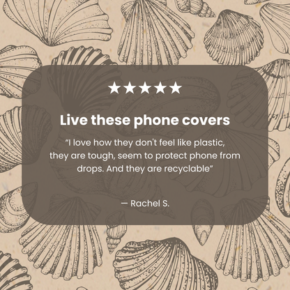 Seashell Seashore iPhone 11 Pro Case