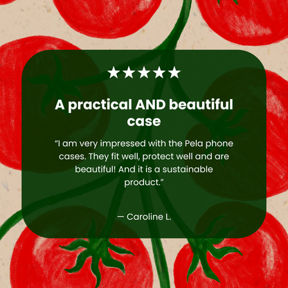 Seashell Tomato Tango iPhone 11 Pro Case