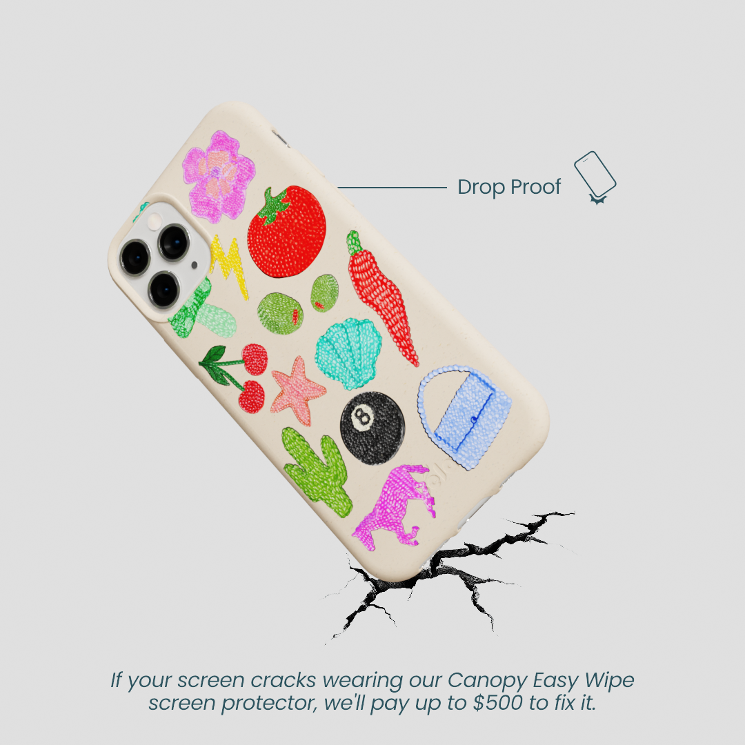 Seashell Whimsy Brooches iPhone 11 Pro Case